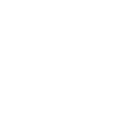 link to Leah's github page