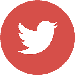 twitter highlighted icon